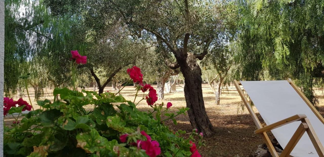 Casa Ibiscus Villa Marsala Kültér fotó