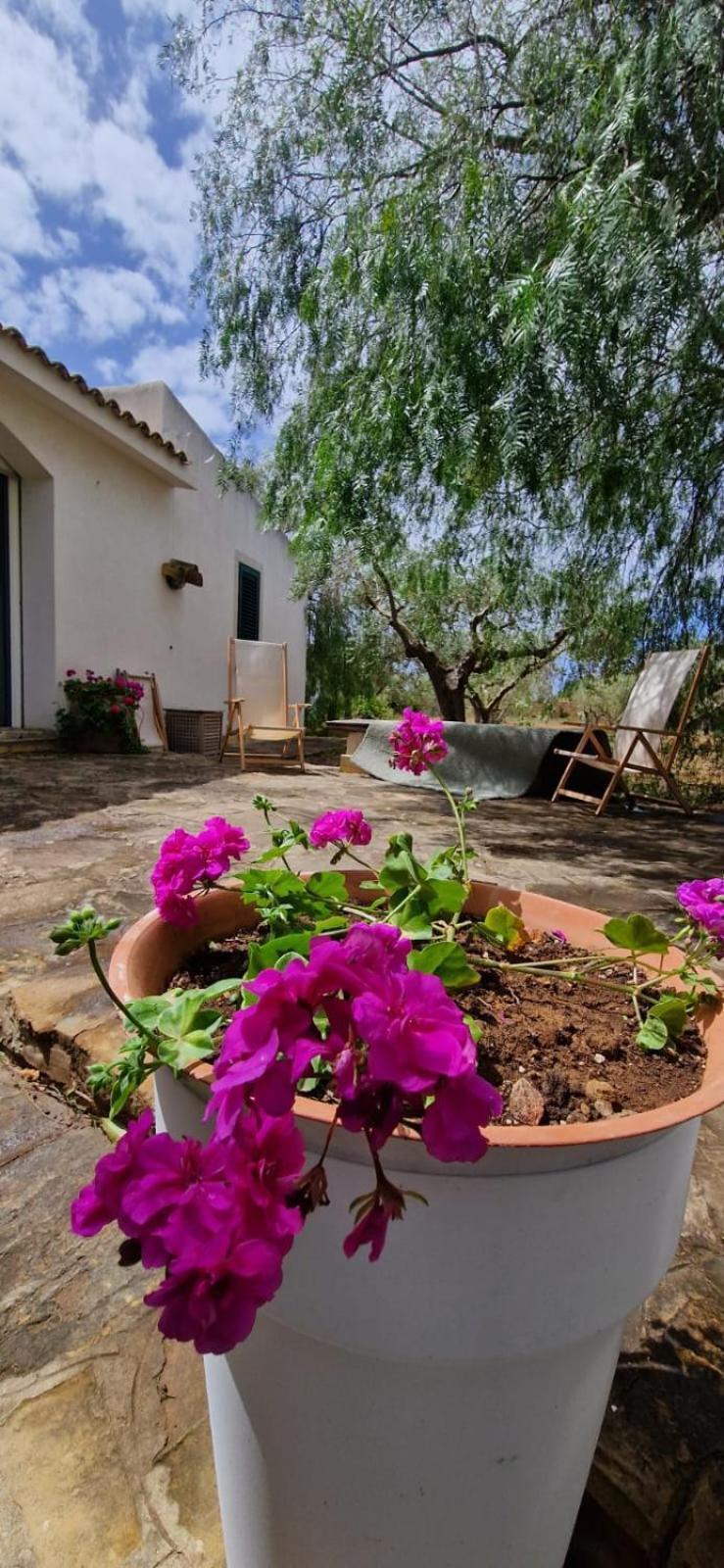 Casa Ibiscus Villa Marsala Kültér fotó